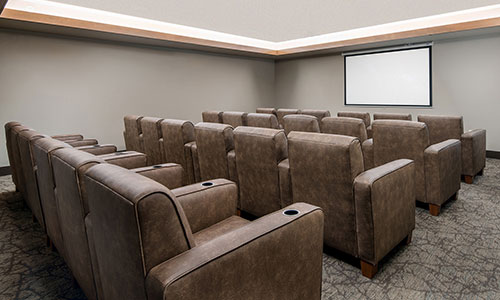 Theatre Room