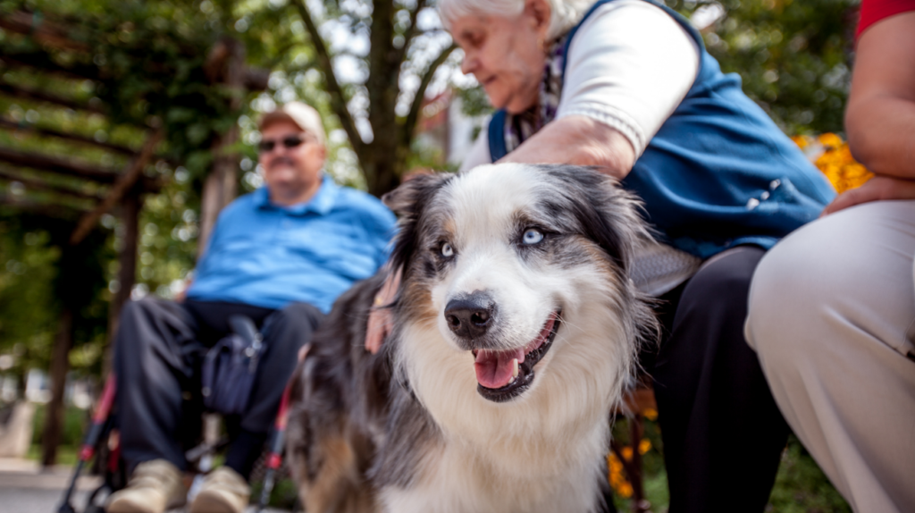 Assisted Living Facility in Moline