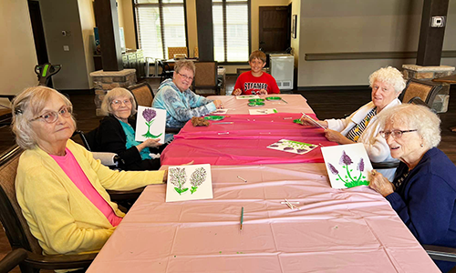 Park Vista Camanche Activities at the Independent, Assisted living and Memory Care